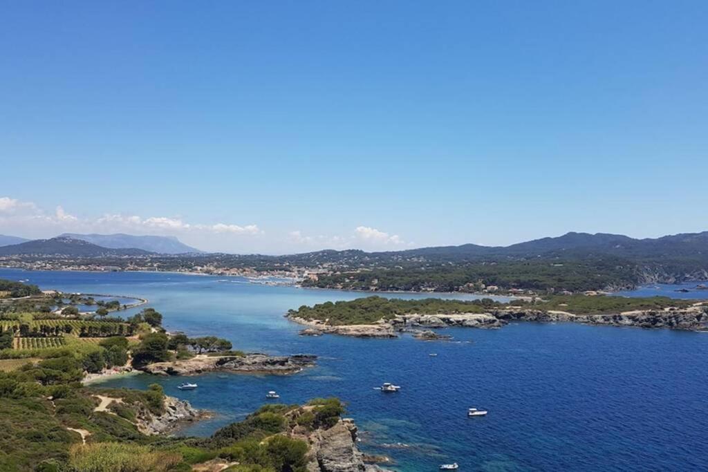 Apartamento Magnifique Rez De Jardin & Piscine & Bord De Mer Six-Fours-les-Plages Exterior foto